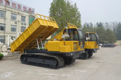 Raupen-LKW-Dumper zum Verkauf, Raupentransporter zu niedrigerem Preis